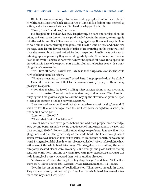 Writing the Nation - Page 411